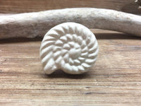 Large Nautilus Seashell Detailed Ceramic Knob