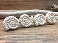 Large Nautilus Seashell Detailed Ceramic Knob