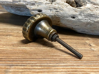 Shell knob has a removable screw Knobpologie